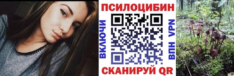 купить цена Янаул Галлюциногенные грибы мицелий
